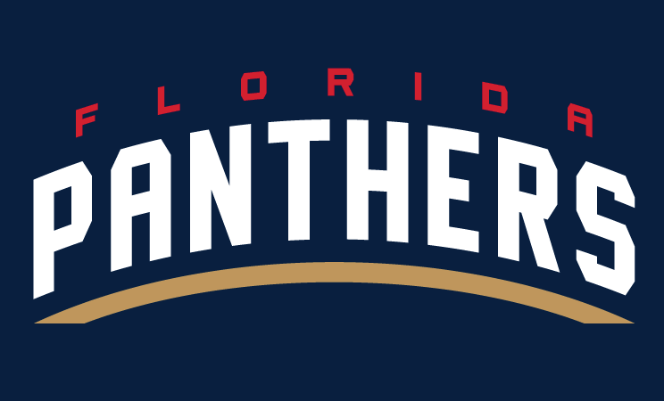 Florida Panthers 2016 17-Pres Wordmark Logo 03 iron on paper